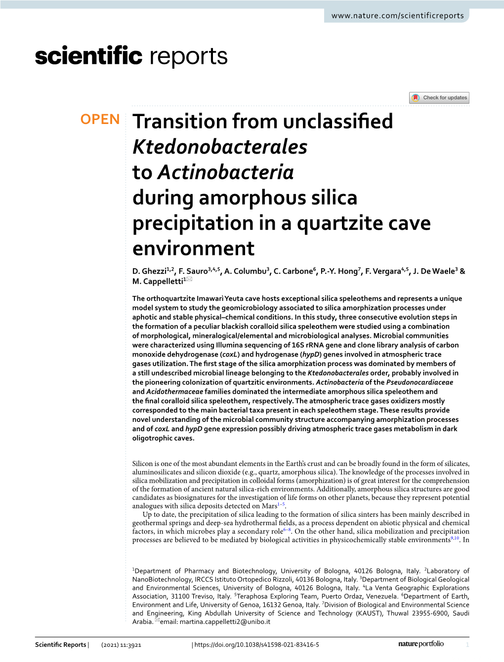 Transition from Unclassified Ktedonobacterales to Actinobacteria During Amorphous Silica Precipitation in a Quartzite Cave Envir