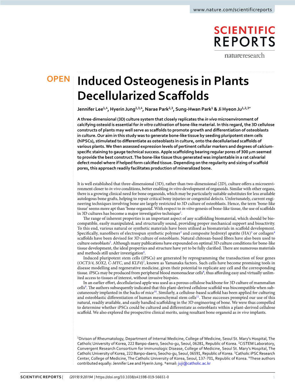 Induced Osteogenesis in Plants Decellularized Scaffolds