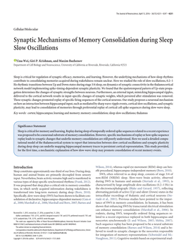 Synaptic Mechanisms of Memory Consolidation During Sleep Slow Oscillations