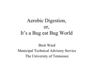 Aerobic Digestion, Or, It’S a Bug Eat Bug World