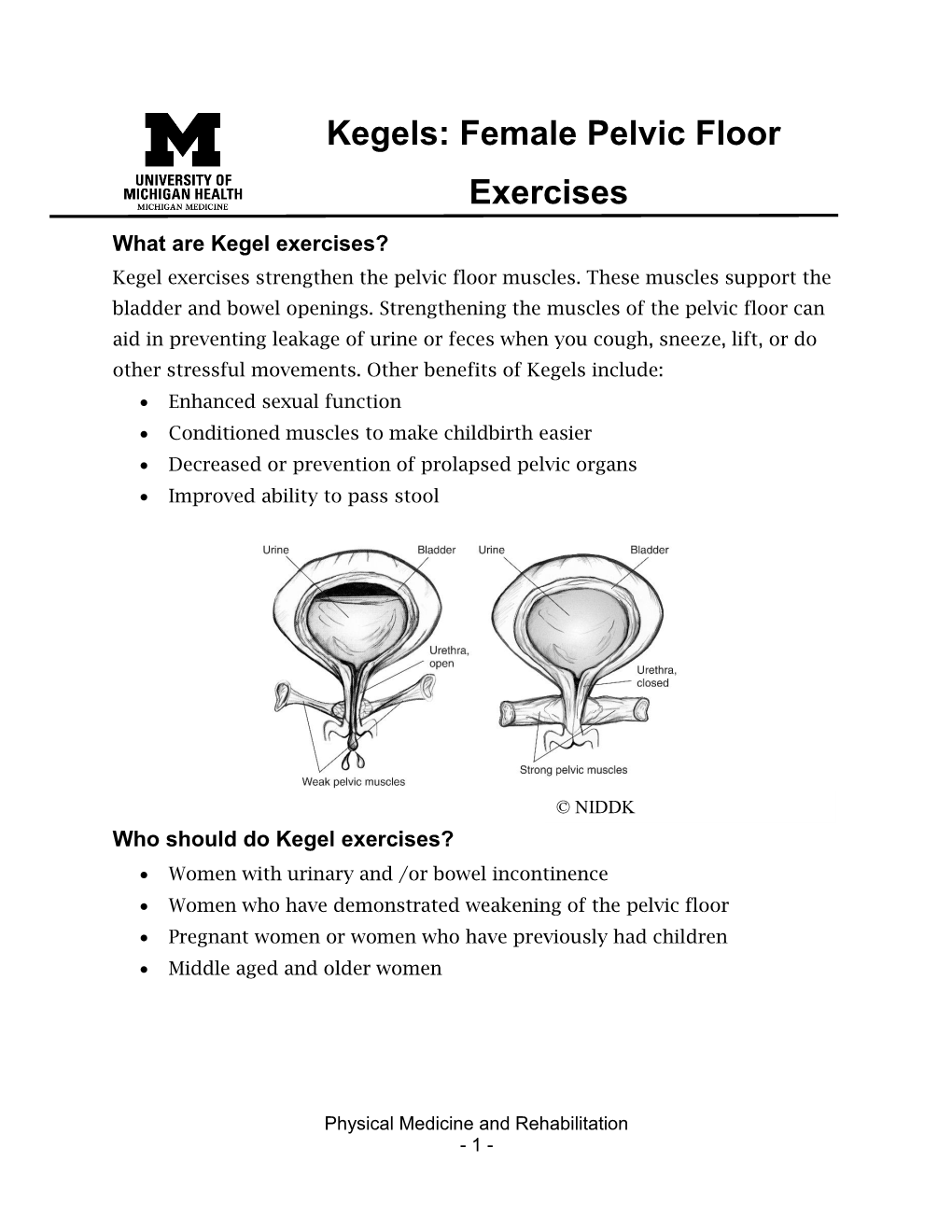 Kegels Female Pelvic Floor Exercises What Are Kegel Exercises Kegel