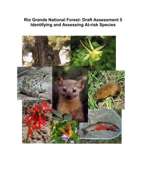 Rio Grande National Forest Draft Assessment 5 At-Risk Species