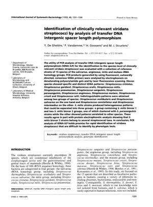 Ldentif Ication of Clinically Relevant Viridans Streptococci by Analysis of Transfer DNA Intergenic Spacer Length Polymorphism