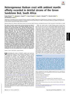 Heterogeneous Hadean Crust with Ambient Mantle Affinity Recorded in Detrital Zircons of the Green Sandstone Bed, South Africa