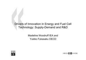 Drivers of Innovation in Energy and Fuel Cell Technology: Supply-Demand and R&D