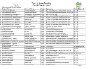 Town of Basalt Tree List Basalt Elevation 6624'