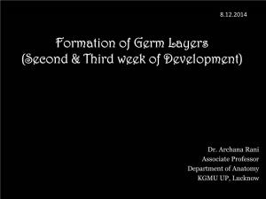 Formation of Germ Layers (Second & Third Week of Development)