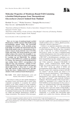 Molecular Properties of Membrane-Bound FAD-Containing D-Sorbitol Dehydrogenase from Thermotolerant Gluconobacter Frateurii Isolated from Thailand