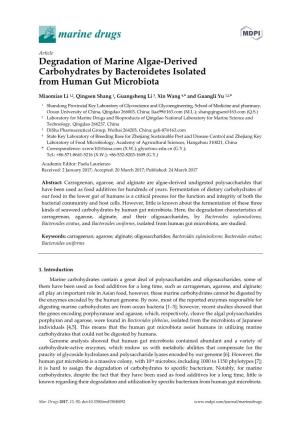 Degradation of Marine Algae-Derived Carbohydrates by Bacteroidetes
