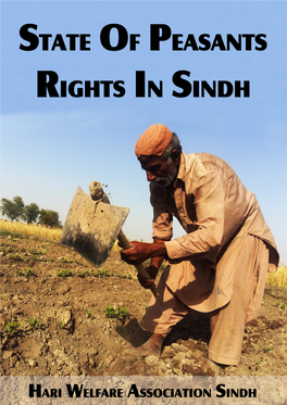 Report-State of Peasants Rights in Sindh 2015.Pdf