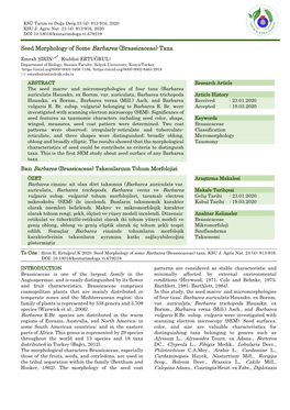 Seed Morphology of Some Barbarea (Brassicaceae) Taxa