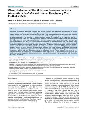 Characterization of the Molecular Interplay Between Moraxella Catarrhalis and Human Respiratory Tract Epithelial Cells