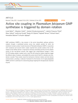 Active Site Coupling in Plasmodium Falciparum GMP Synthetase Is Triggered by Domain Rotation