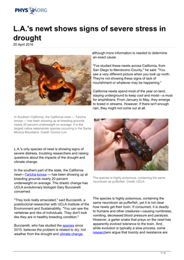 L.A.'S Newt Shows Signs of Severe Stress in Drought 20 April 2016
