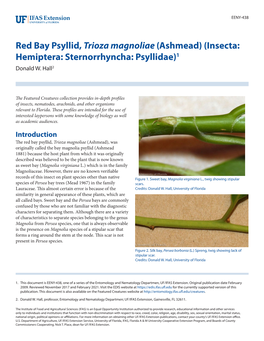 Red Bay Psyllid, Trioza Magnoliae (Ashmead) (Insecta: Hemiptera: Sternorrhyncha: Psyllidae)1 Donald W