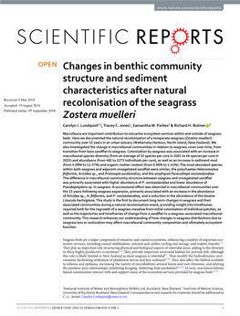 Changes in Benthic Community Structure and Sediment Characteristics After Natural Recolonisation of the Seagrass Zostera Mueller