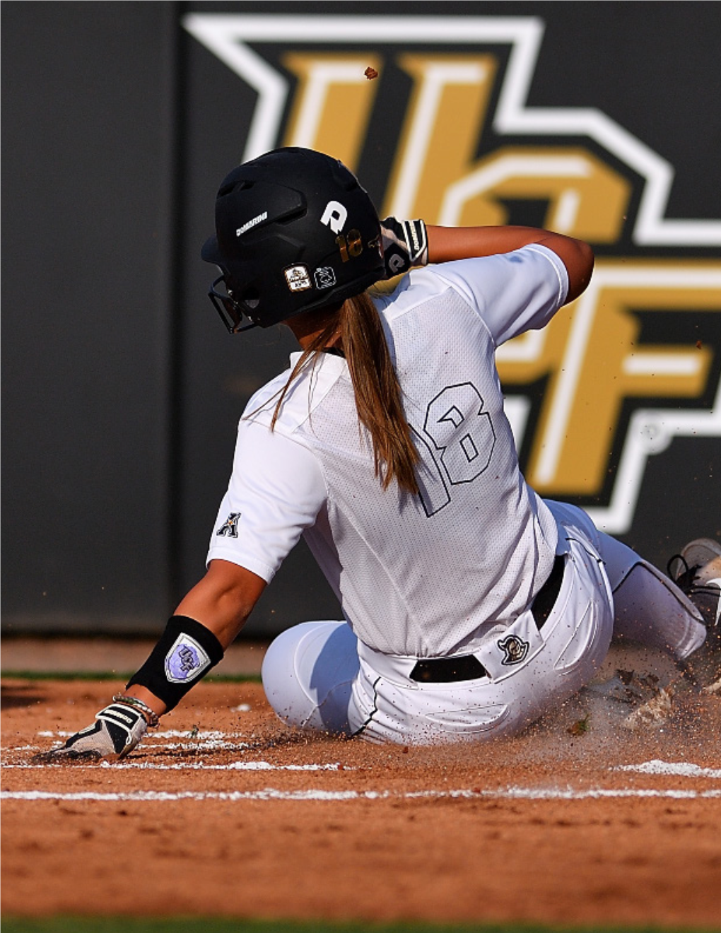 UCF Softball by the Numbers