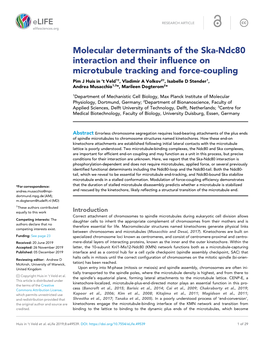 Molecular Determinants of the Ska-Ndc80 Interaction and Their