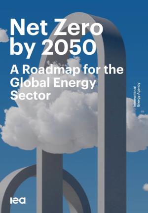 Net Zero by 2050 a Roadmap for the Global Energy Sector Net Zero by 2050