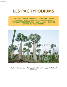 Pachypodium-Fr.Pdf