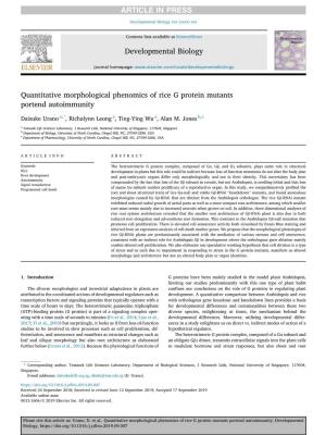Quantitative Morphological Phenomics of Rice G Protein Mutants Portend Autoimmunity