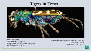 Tigers in Texas
