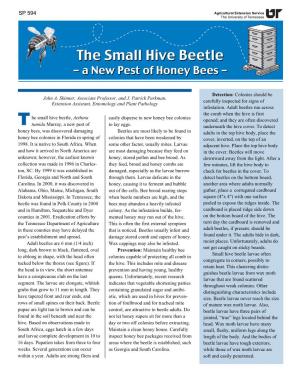 The Small Hive Beetle, Aethina Tumida