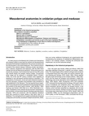 Mesodermal Anatomies in Cnidarian Polyps and Medusae