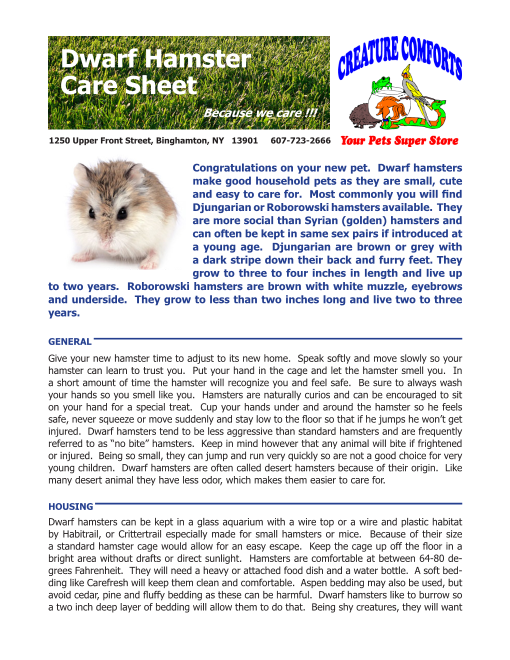 Dwarf Hamster Care Sheet Because We Care !!!