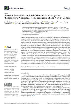 From Transgenic Bt and Non-Bt Cotton
