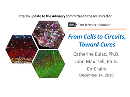 From Cells to Circuits, Toward Cures Catherine Dulac, Ph.D