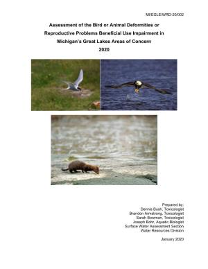 Assessment of the Bird Or Animal Deformities Or Reproductive Problems Beneficial Use Impairment in Michigan’S Great Lakes Areas of Concern 2020