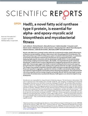 Hadd, a Novel Fatty Acid Synthase Type II Protein, Is Essential for Alpha- and Epoxy-Mycolic Acid Biosynthesis and Mycobacterial
