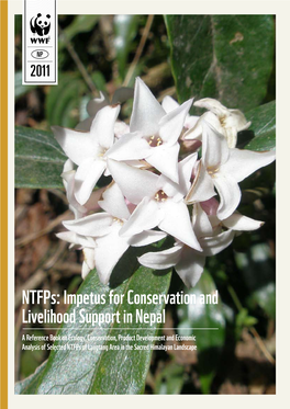 Ntfps: Impetus for Conservation and Livelihood Support in Nepal