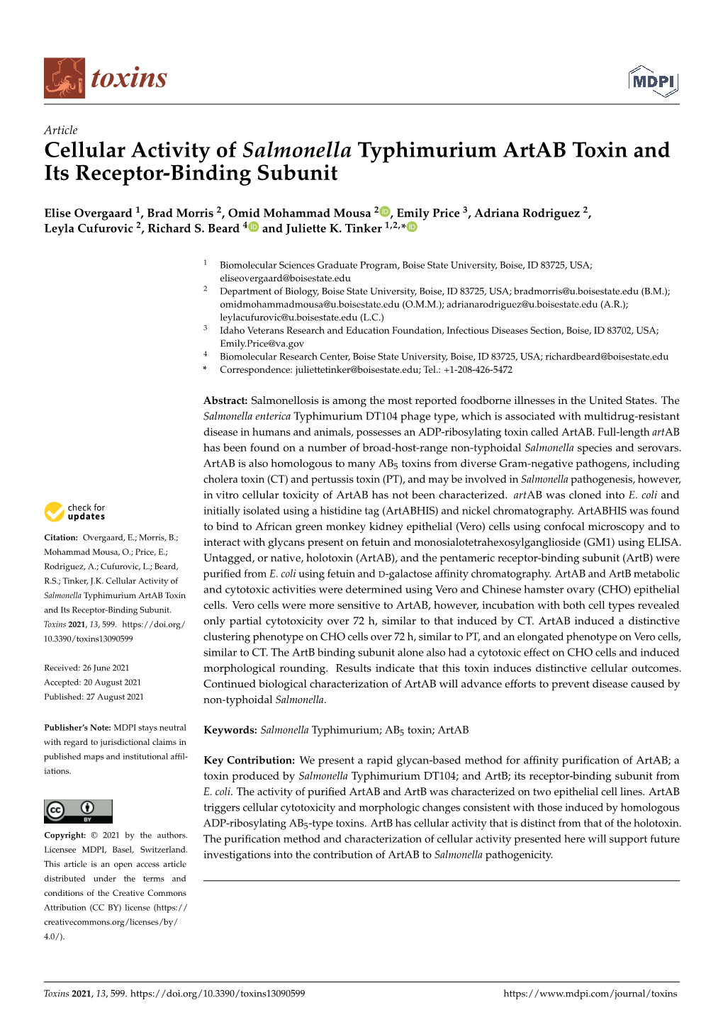 Cellular Activity of Salmonella Typhimurium Artab Toxin and Its Receptor-Binding Subunit