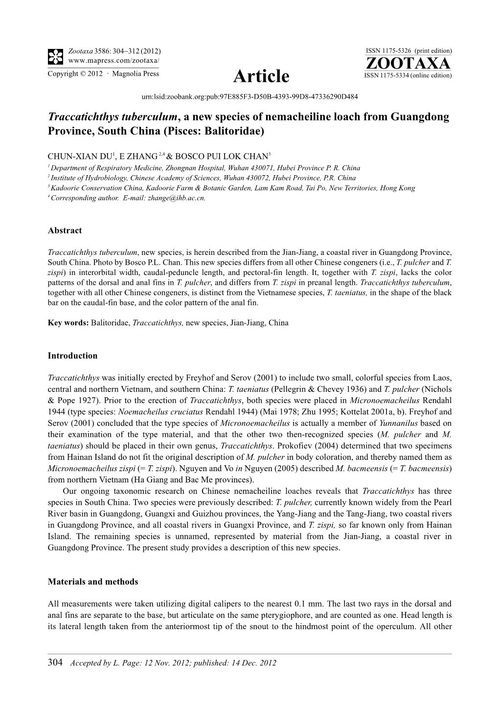 Traccatichthys Tuberculum, a New Species of Nemacheiline Loach from Guangdong Province, South China (Pisces: Balitoridae)