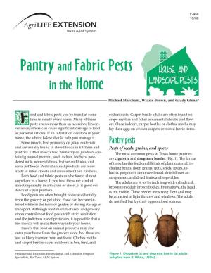Pantry and Fabric Pests in the Home
