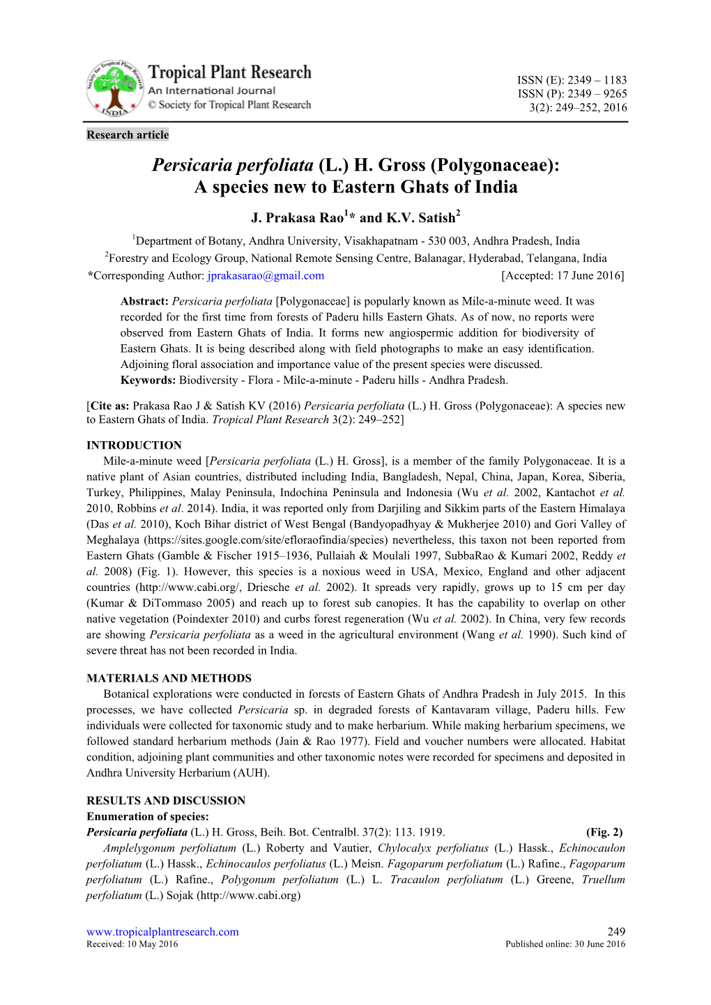 Persicaria Perfoliata (L.) H. Gross (Polygonaceae): a Species New to Eastern Ghats of India J