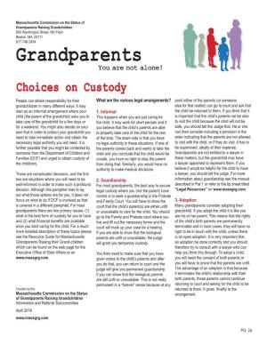 Choices on Custody