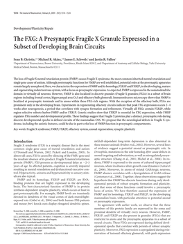 The FXG: a Presynaptic Fragile X Granule Expressed in a Subset of Developing Brain Circuits