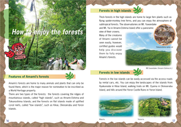 How to Enjoy the Forests Many of the Creatures of Amami Cannot Be Seen Easily, However