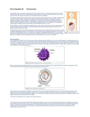 Viral Hepatitis B: Introduction