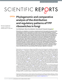 Phylogenomic and Comparative Analysis of the Distribution And
