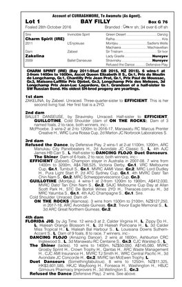 Lot 1 BAY FILLY Box G 76 Foaled 28Th October 2016 Branded: Nrsh;34Over6offsh