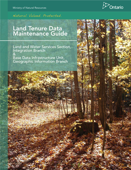 Land Tenure Data Maintenance Guide