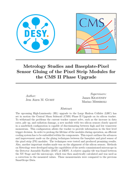 Metrology Studies and Baseplate-Pixel Sensor Gluing of the Pixel Strip Modules for the CMS II Phase Upgrade