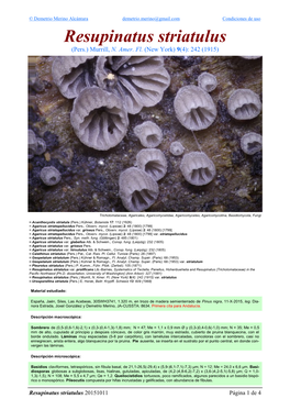 Resupinatus Striatulus Striatulus Resupinatus 4 De 1 Página 20151011