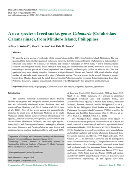 A New Species of Reed Snake, Genus Calamaria (Colubridae: Calamariinae), from Mindoro Island, Philippines