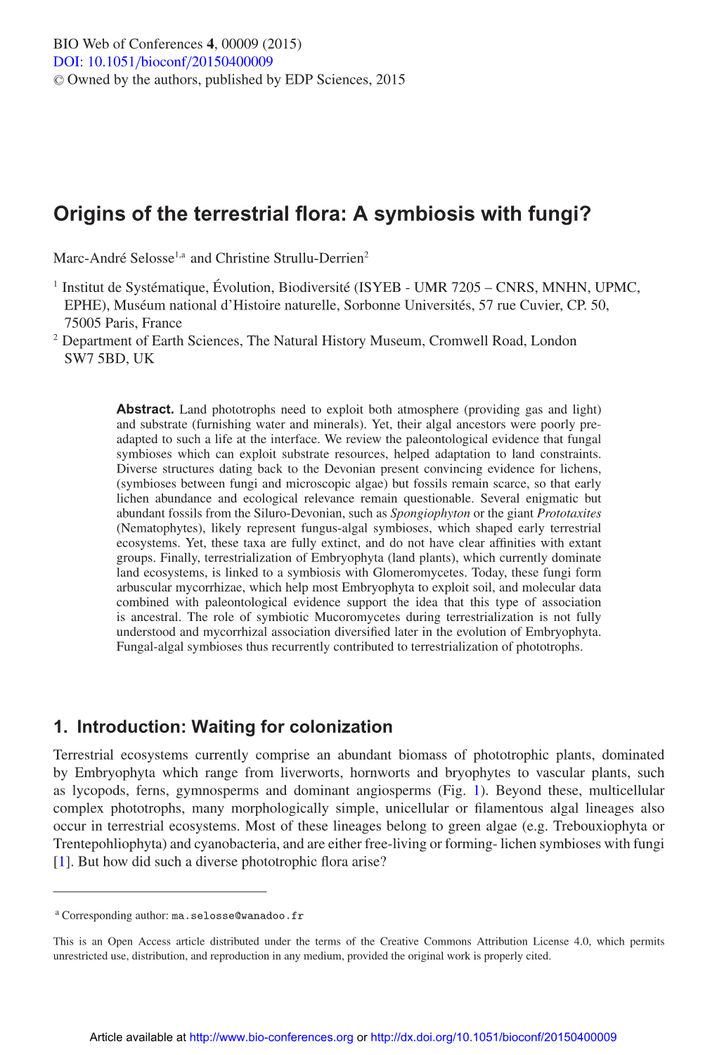 A Symbiosis with Fungi?