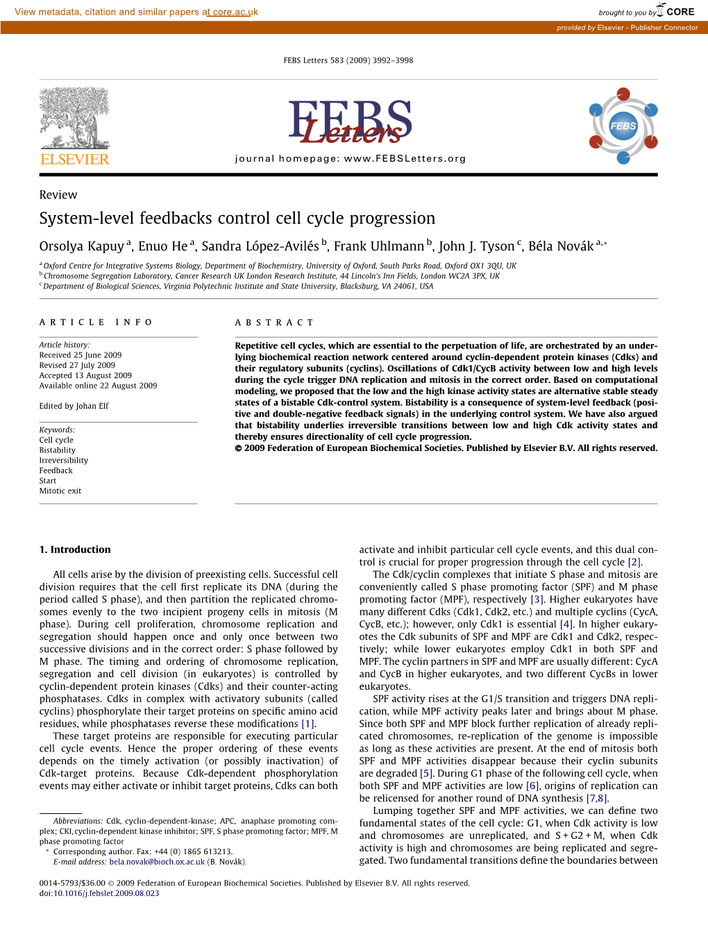 System-Level Feedbacks Control Cell Cycle Progression